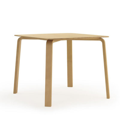 Parawood Table